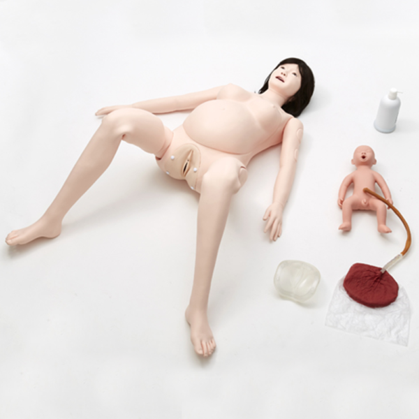 Sakamoto Whole Body Pregnant Model 2